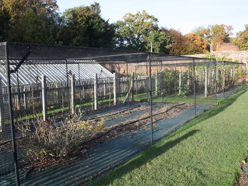 The Vyne Steel Cage